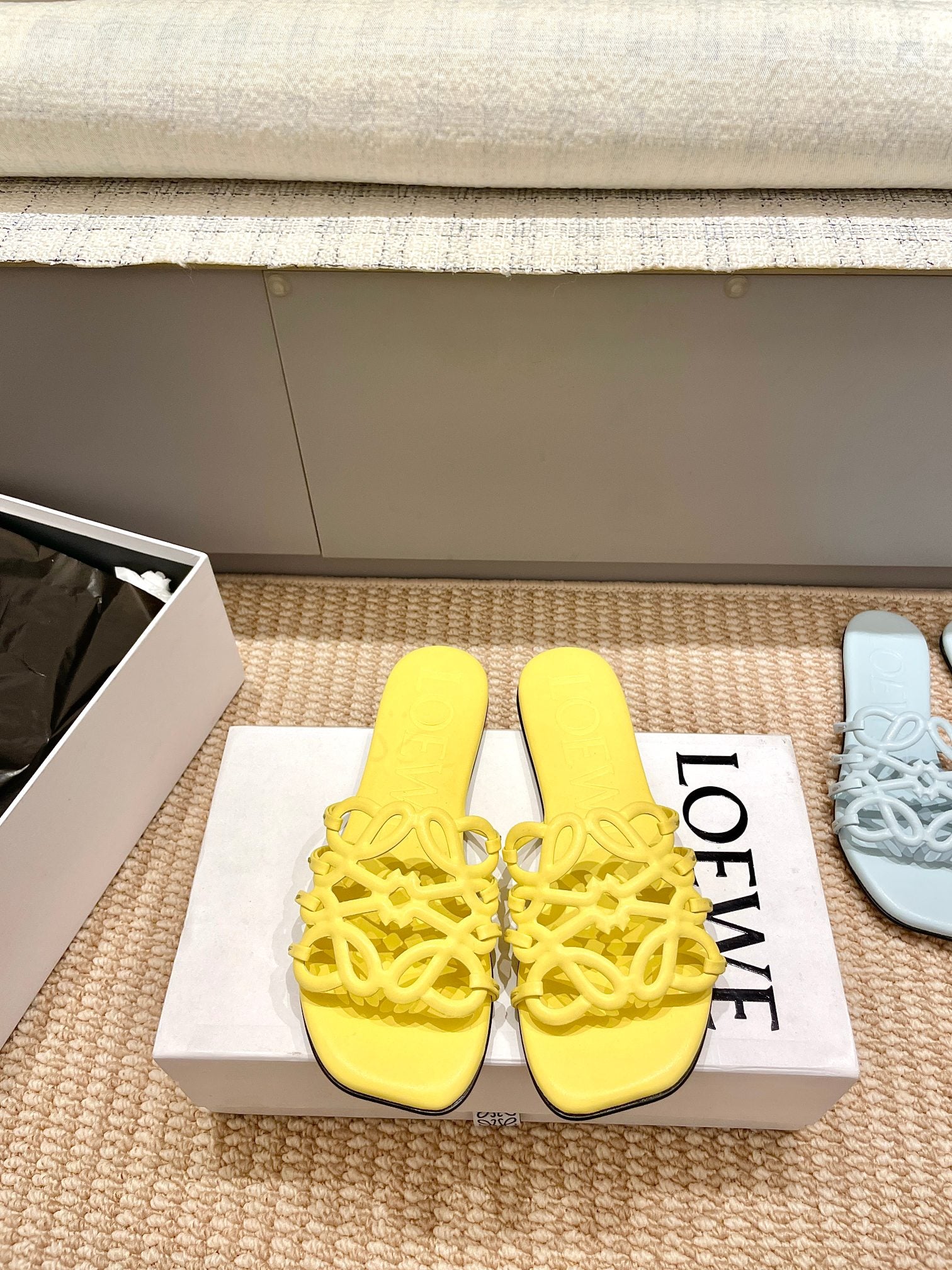 China Replica Loewe Women Shoes 77usd Only