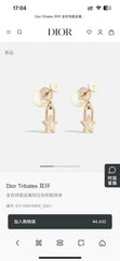 China Replica Dior Earrings 24usd Only