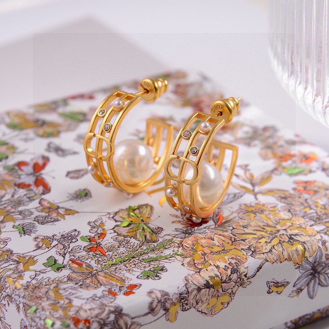 China Replica Dior Earrings 22usd Only