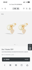 China Replica Dior Earrings 24usd Only