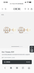 China Replica Dior Earrings 30usd Only