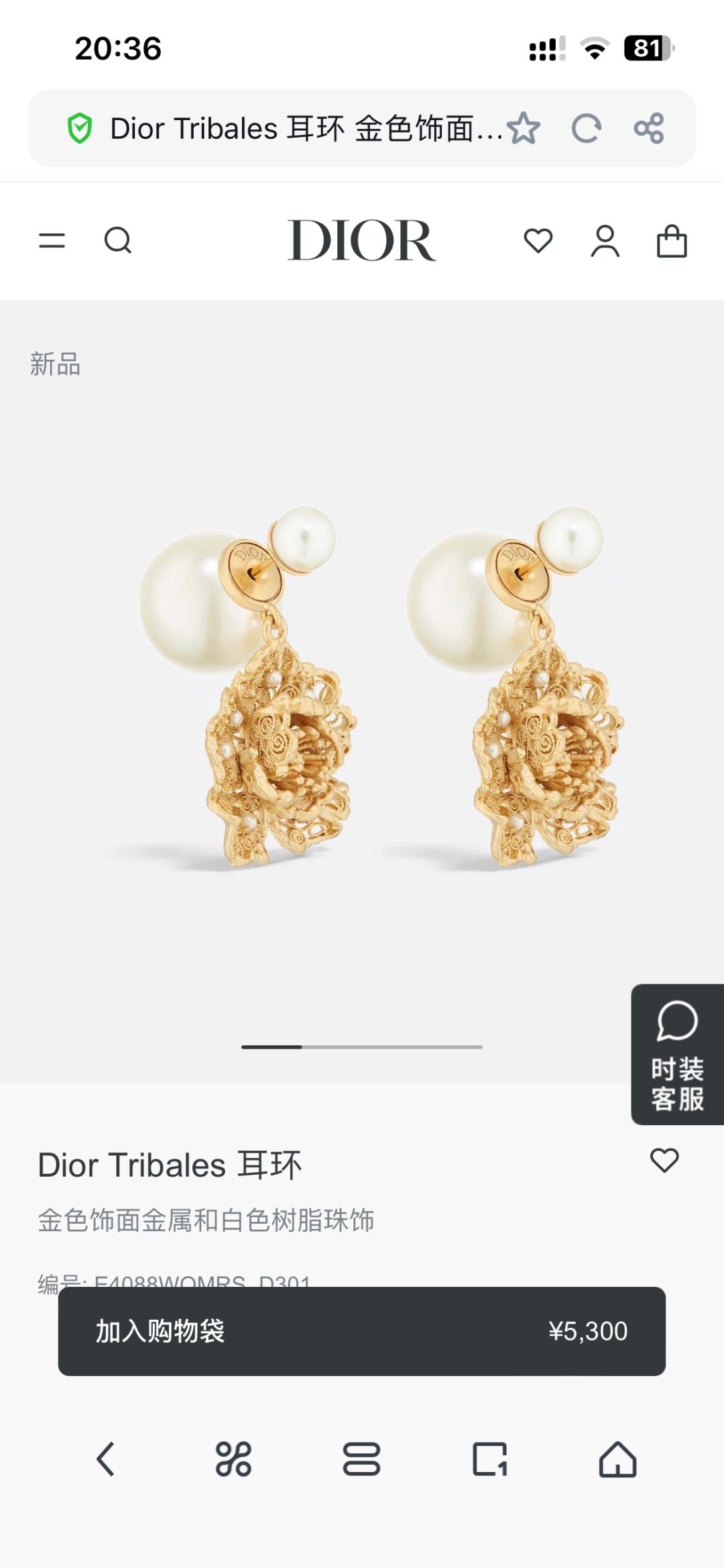China Replica Dior Earrings 25usd Only