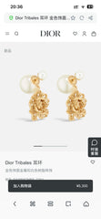 China Replica Dior Earrings 25usd Only