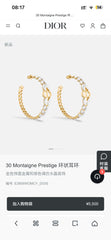 China Replica Dior Earrings 30usd Only