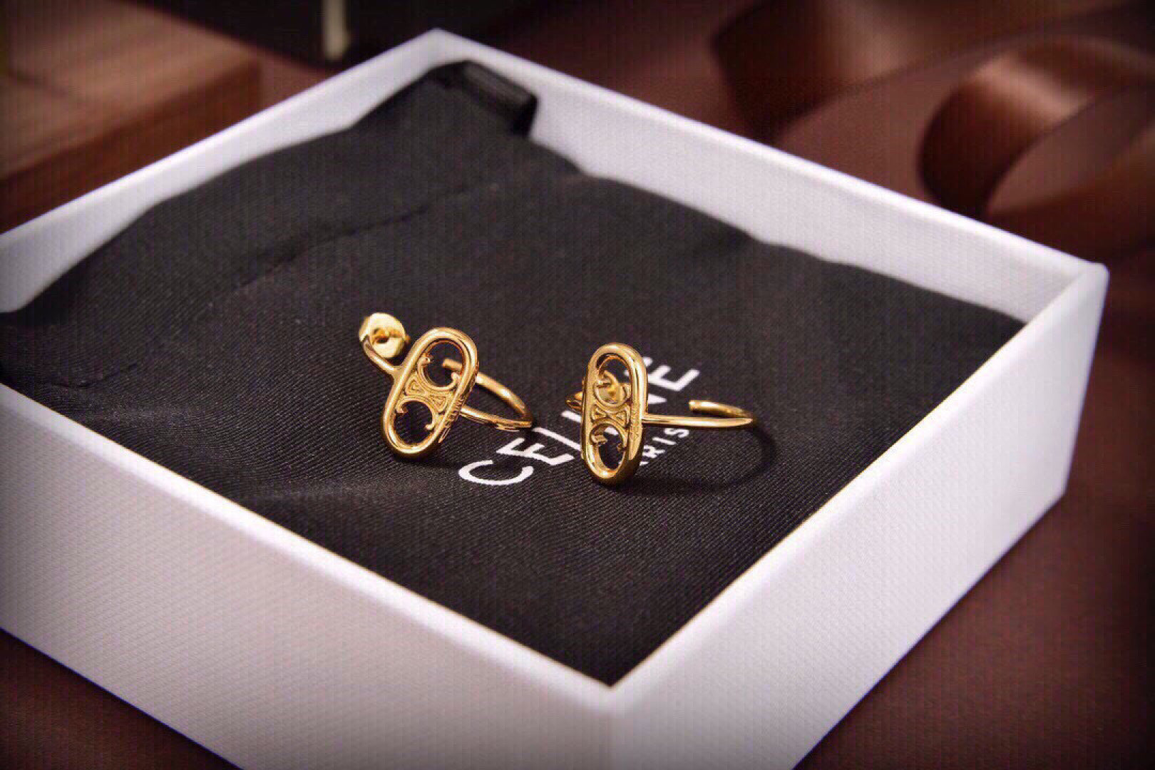 China Replica Celine Earrings 22usd Only