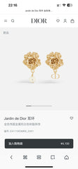 China Replica Dior Earrings 22usd Only