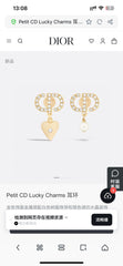 China Replica Dior Earrings 22usd Only