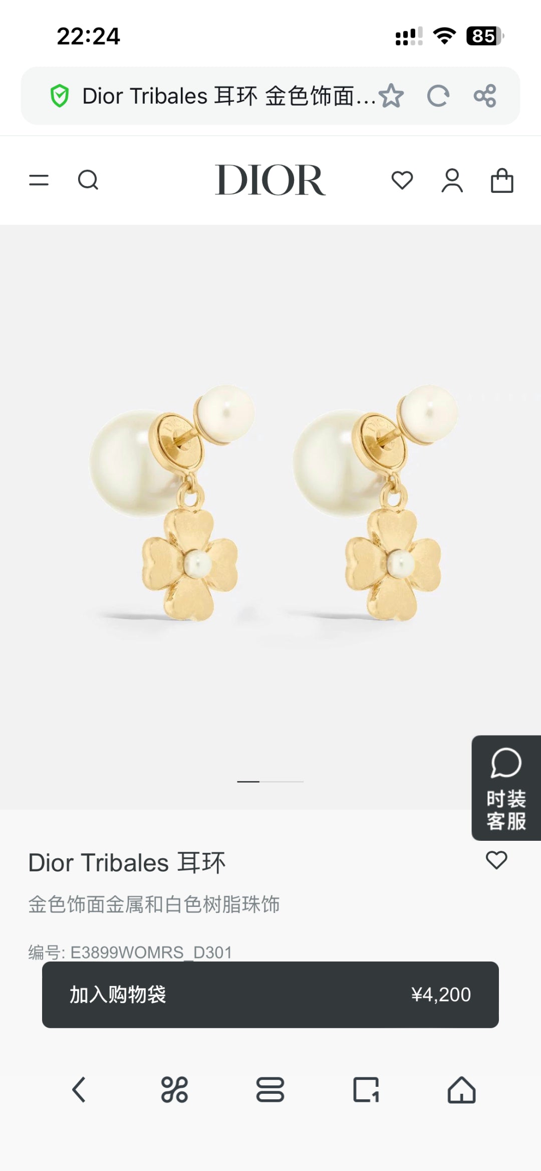 China Replica Dior Earrings 24usd Only