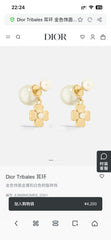 China Replica Dior Earrings 24usd Only