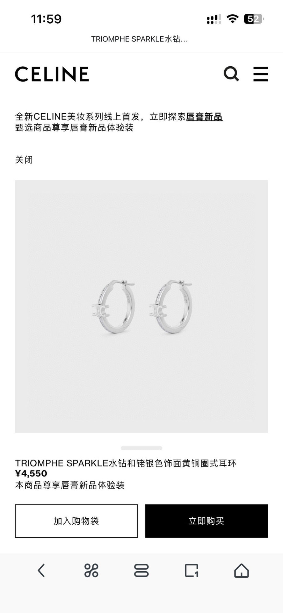 China Replica Celine Earrings 22usd Only