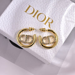 China Replica Dior Earrings 22usd Only