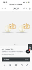 China Replica Dior Earrings 25usd Only