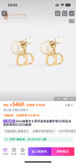 China Replica Dior Earrings 24usd Only