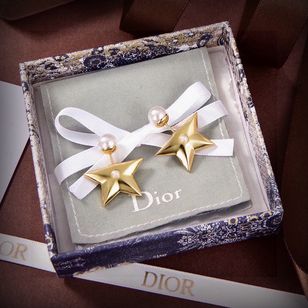 China Replica Dior Earrings 22usd Only