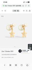 China Replica Dior Earrings 24usd Only