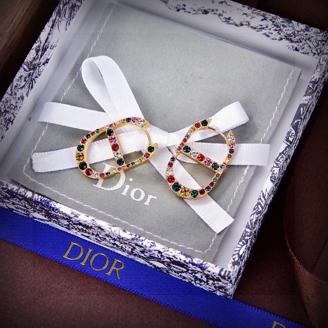 China Replica Dior Earrings 22usd Only