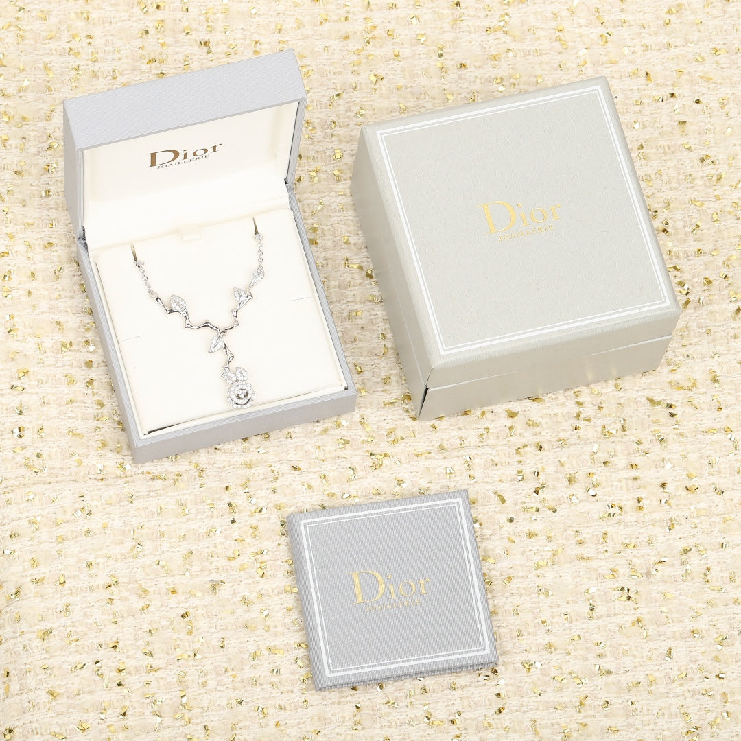 China Replica Dior Necklaces 144usd Only
