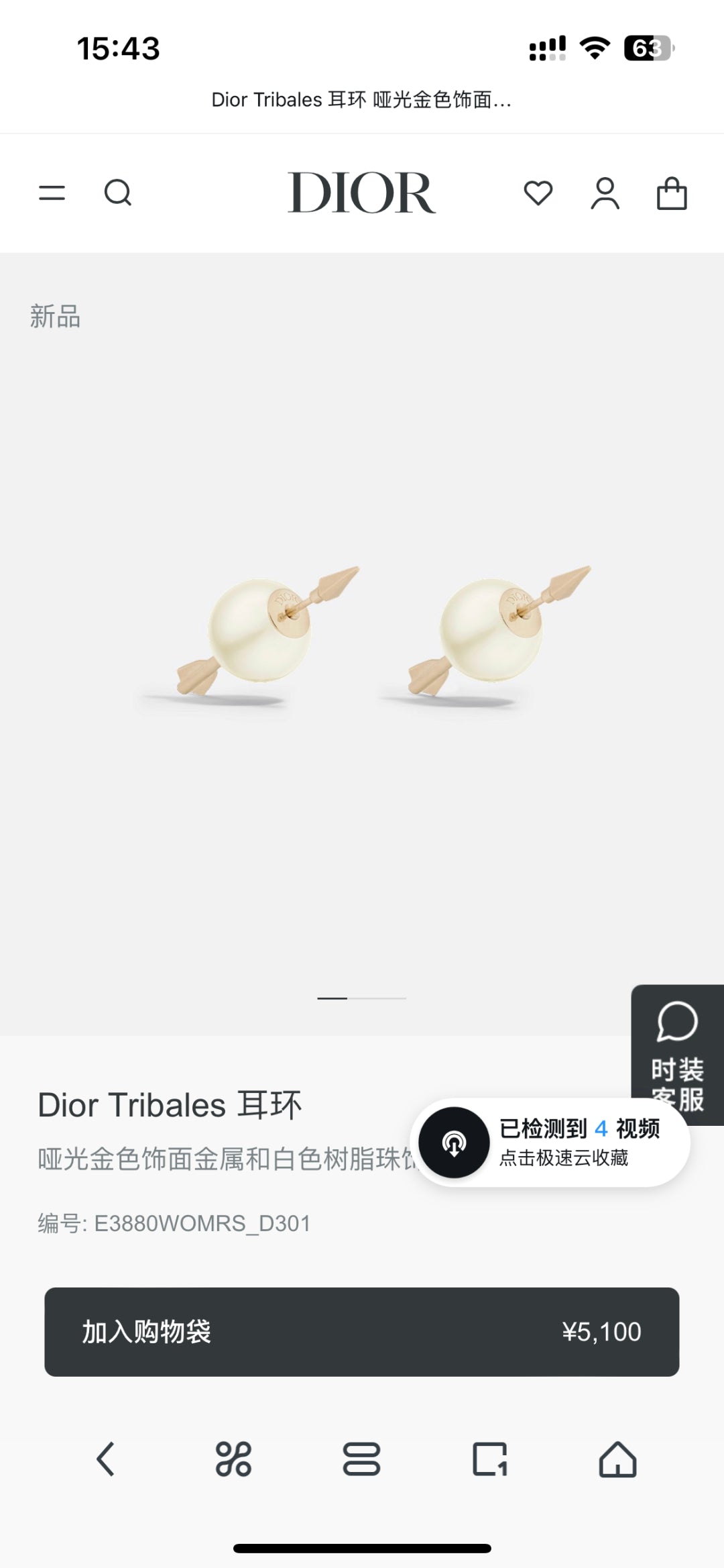 China Replica Dior Earrings 22usd Only