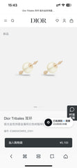 China Replica Dior Earrings 22usd Only