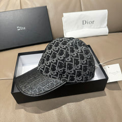 China Replica Dior Hats 36usd Only
