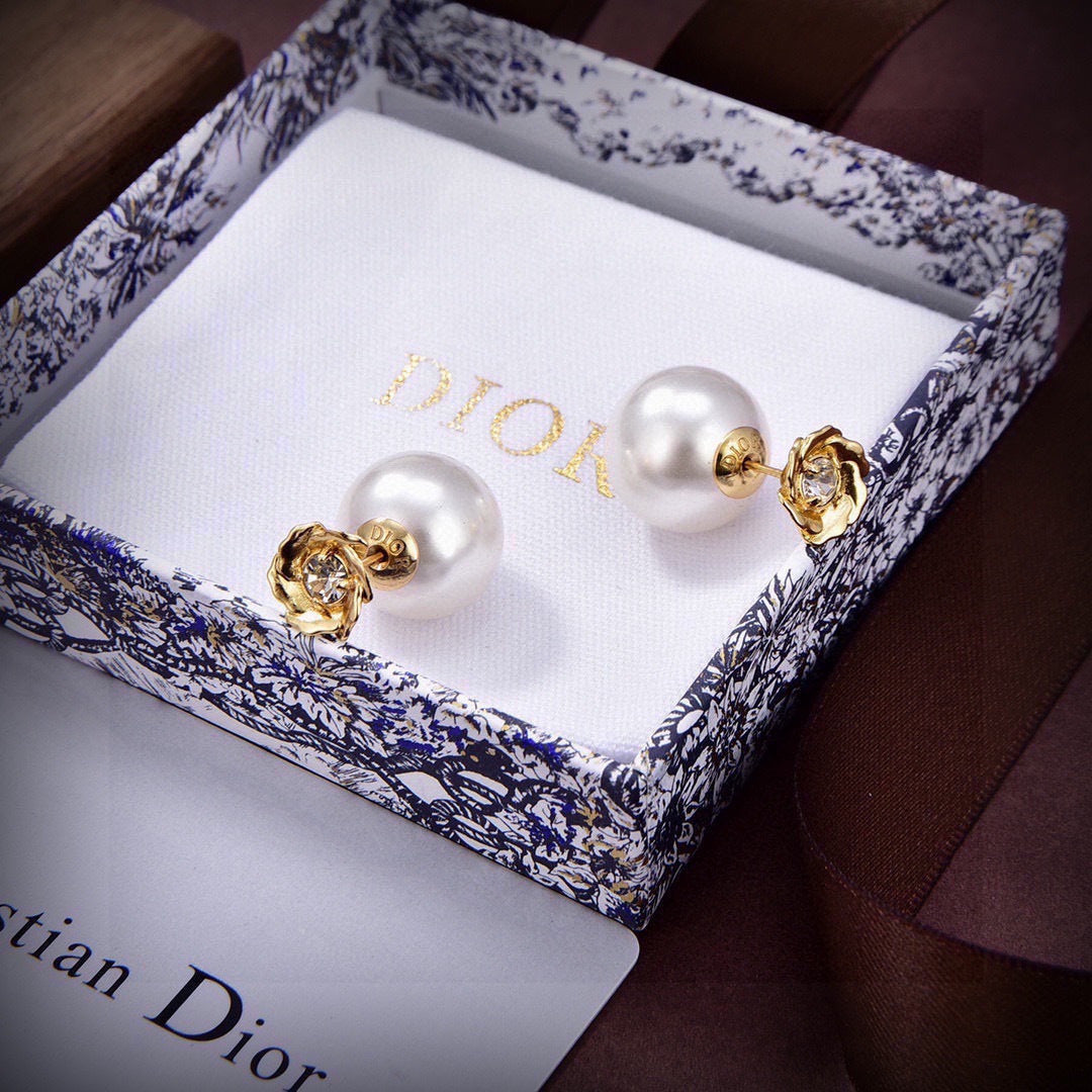 China Replica Dior Earrings 20usd Only