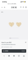China Replica Dior Earrings 20usd Only