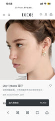 China Replica Dior Earrings 26usd Only