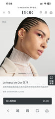 China Replica Dior Earrings 20usd Only