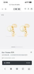 China Replica Dior Earrings 25usd Only
