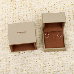 China Replica Balenciaga Earrings 102usd Only