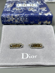 China Replica Dior Earrings 18usd Only