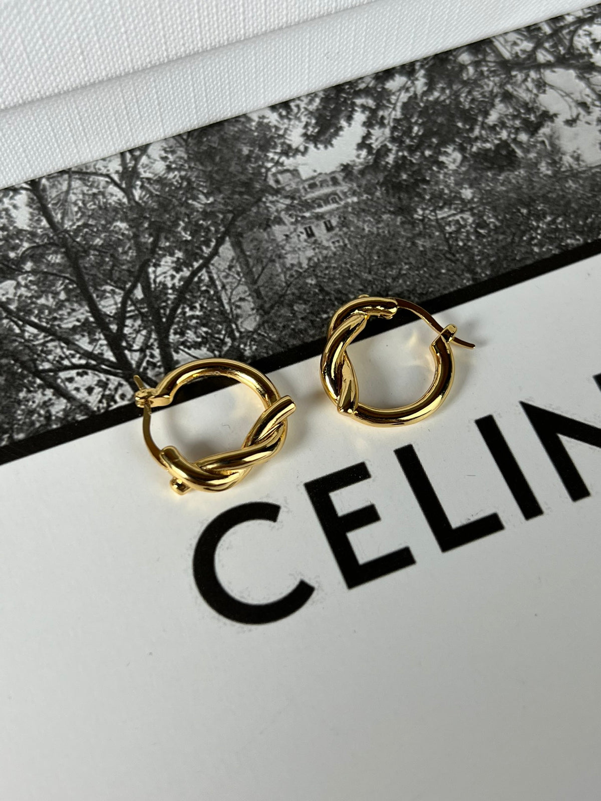 China Replica Celine Earrings 28usd Only