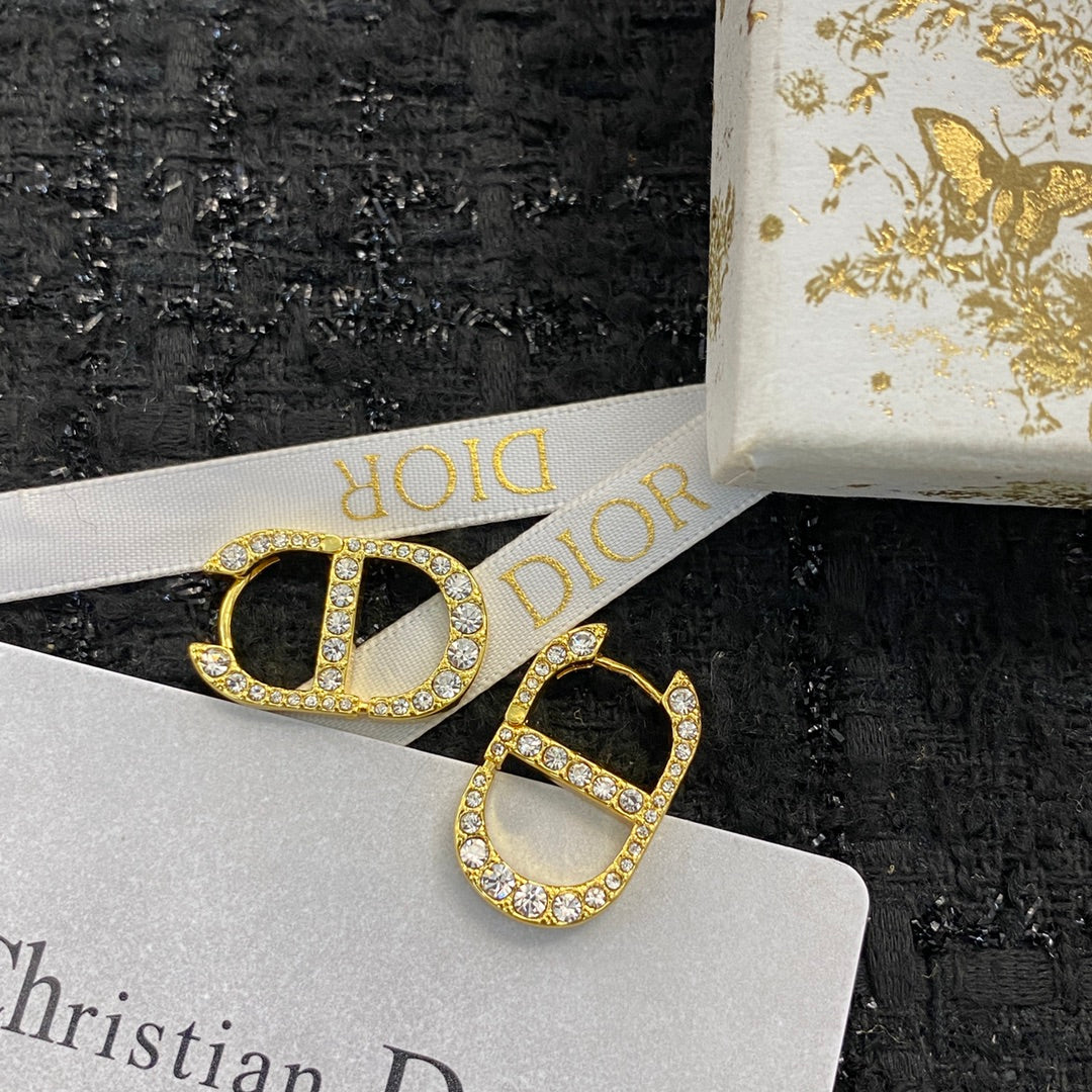 China Replica Dior Earrings 28usd Only