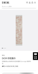China Replica Dior Scarf 46usd Only