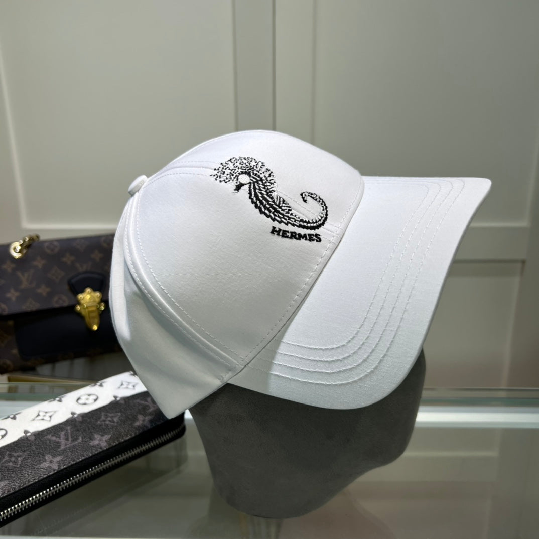 China Replica Hermes Hats 19usd Only