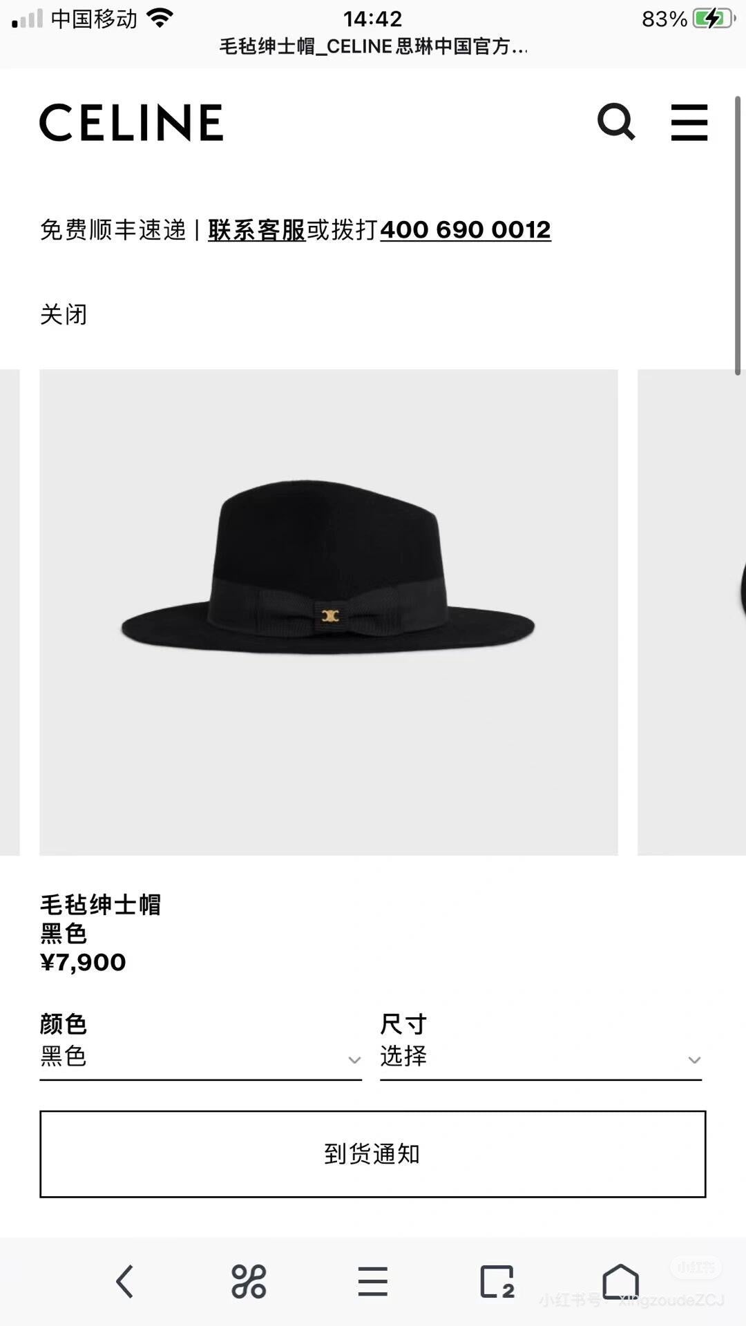 China Replica Celine Hats 96usd Only