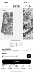 China Replica Dior Scarf 46usd Only