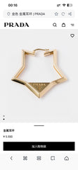 China Replica Prada Earrings 25usd Only