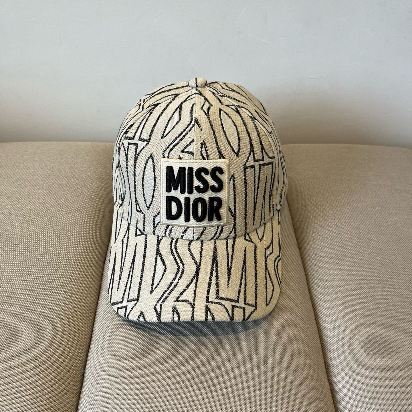 China Replica Dior Hats 22usd Only