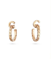 China Replica Chanel Earrings 30usd Only