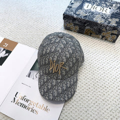 China Replica Dior Hats 22usd Only