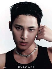 China Replica Bvlgari Necklaces 111usd Only