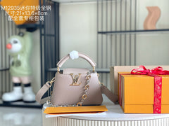 China Replica LV Handbags 315usd Only