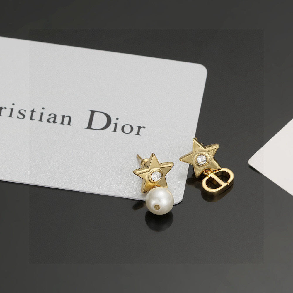 China Replica Dior Earrings 20usd Only