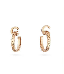 China Replica Chanel Earrings 30usd Only