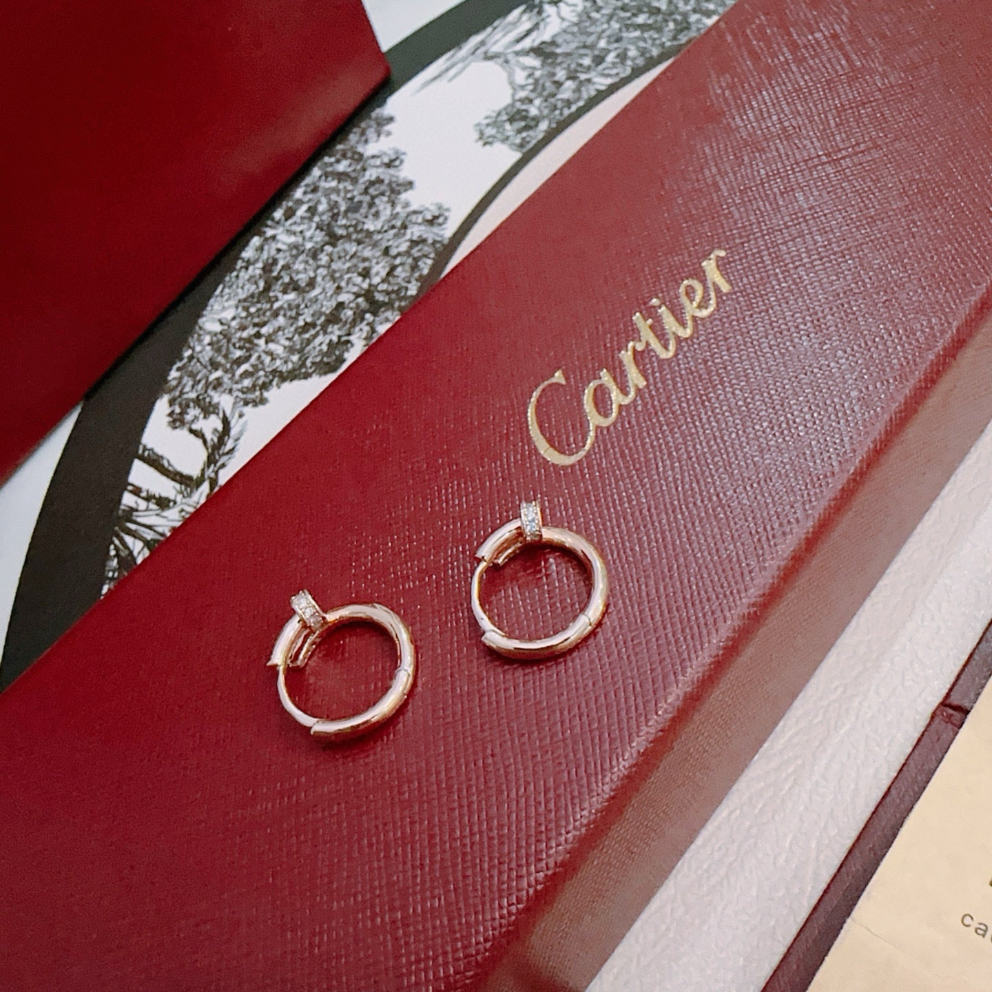 China Replica Cartier Earrings 25usd Only