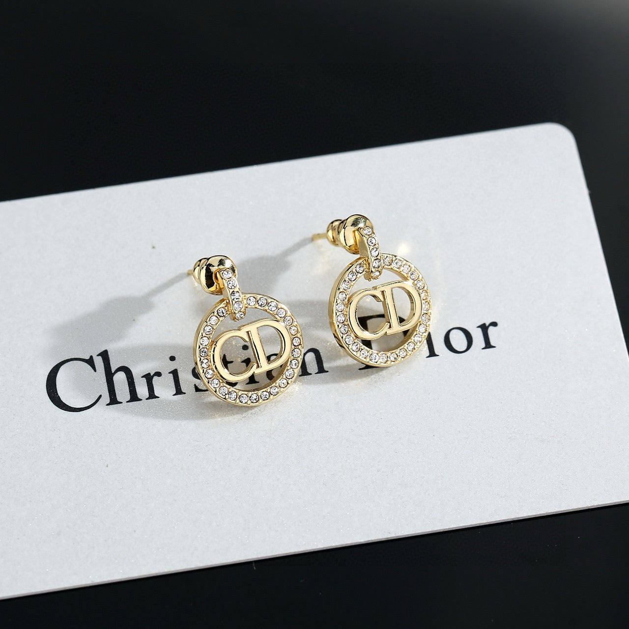 China Replica Dior Earrings 20usd Only