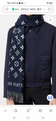 China Replica LV Scarf 60usd Only