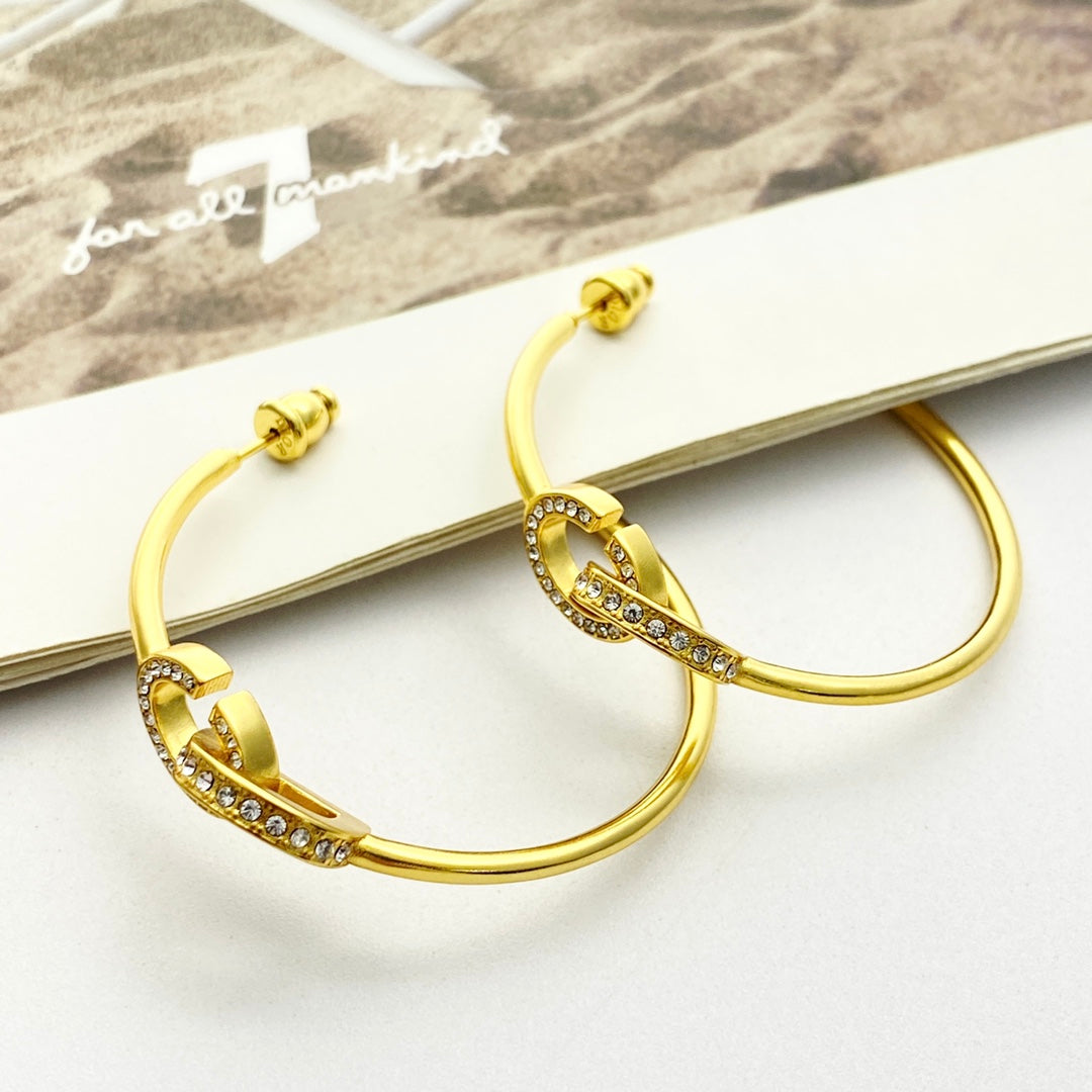 China Replica Dior Earrings 30usd Only