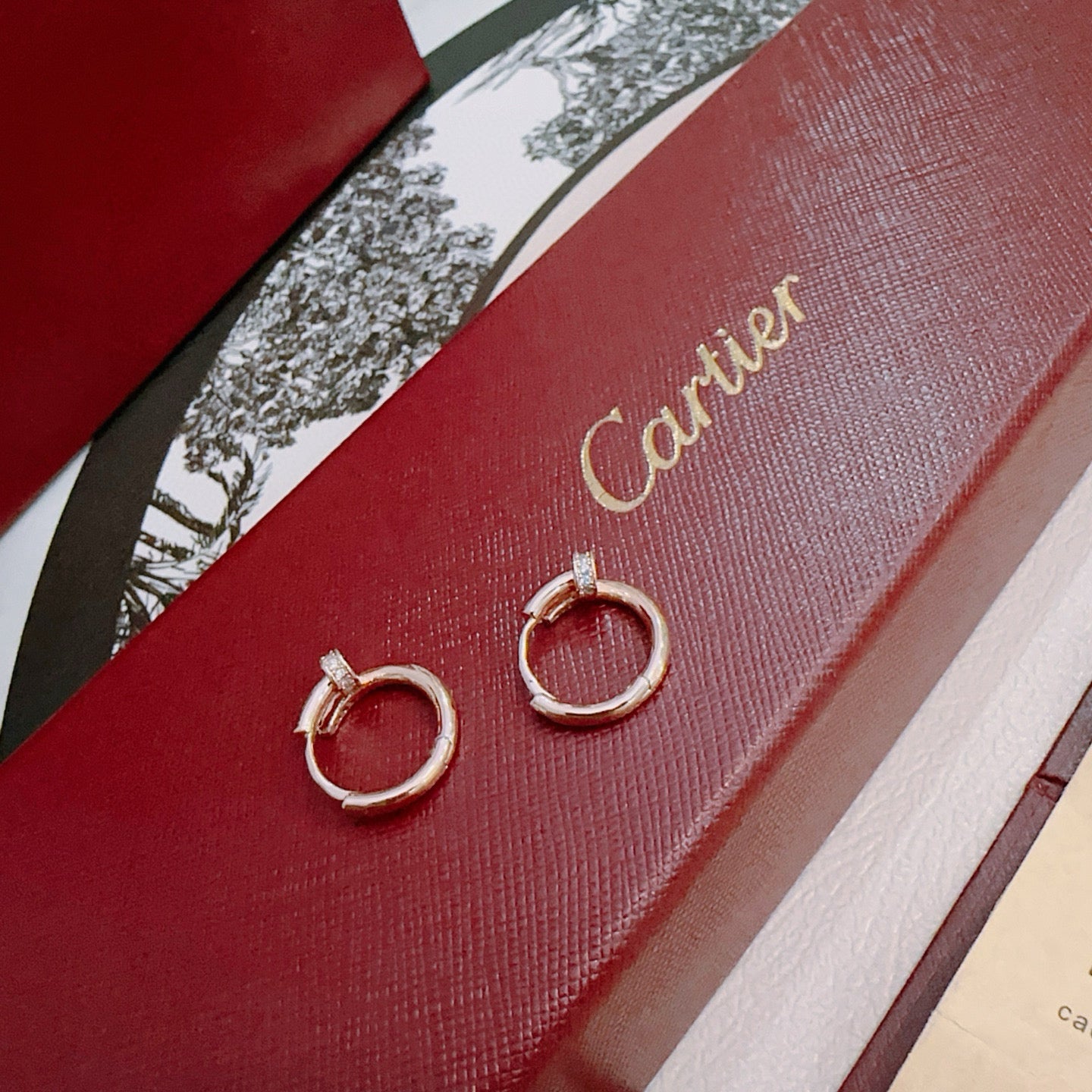 China Replica Cartier Earrings 25usd Only